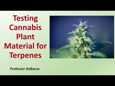 Download MP3 Testing Cannabis Plant Material for Terpenes