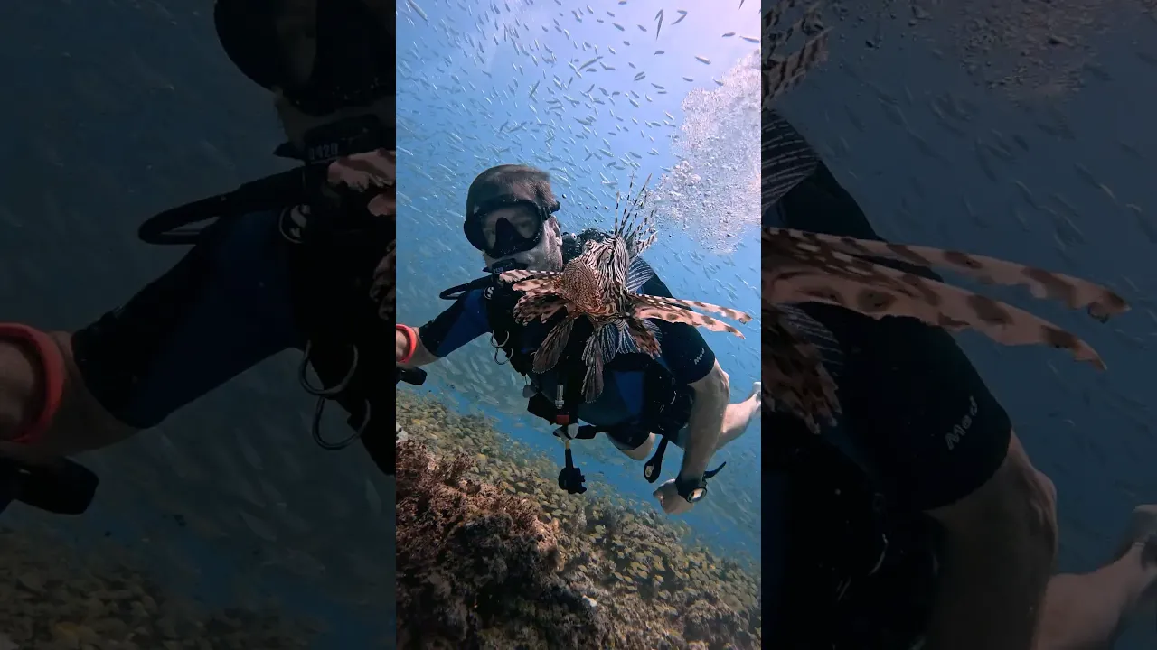 Lionfish Selfie