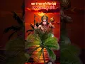 Download Lagu Kavan so kaj kathin jag mahi jo nahi hoey tat tum pahi | सुंदरकांड_रामायण |हनुमानचालीसा | hanuman |
