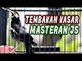 Download Lagu 🔴 MATERAN TEMBAKAN KASAR JALAK SUREN 🔥