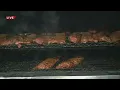 Live In Your Neighborhood - Soulard Mo Bogarts