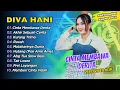 Download Lagu Diva Hani Ft Ageng Music - CINTA MEMBAWA DERITA - AKHIR SEBUAH CERITA || FULL DANGDUT KOPLO 2025
