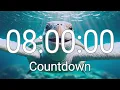 8 Hour Timer with Relaxing Music and Alarm