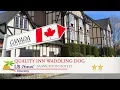 Quality Inn addling Dog 2 Stars hotel in Saanichton Canada