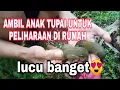 Download Lagu Hunting tupai kikis sampai dikeroyok semut