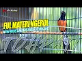 Download Lagu FULL MATERI NGEROL !! materi super pedes cocok buat masteran dan pancingan murai | shama bird