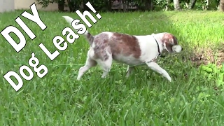 How to Make a Dog Leash out of cable