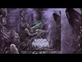 Infant Annihilator - Motherless Miscarriage (NEW SONG 2016/Lyrics)