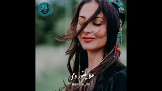 هلا يمكحل عيونه بغير المرود حسام الرسام ستوري رومانسي رهيب حالة واتساب تجنن 