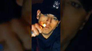 كليب نسر الغربيه       دندنها