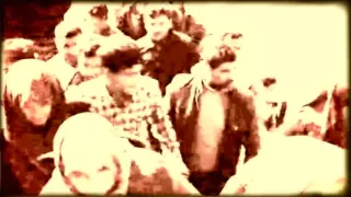 رسالة لاجئ غريق إلى أمه دندنها