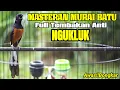 Download Lagu Tembakan MUTRAI BATU Anti NGUKLUK Full Materi KESUKAAN JURI 100% ampuh buat MASTERAN Murai BATU Anda