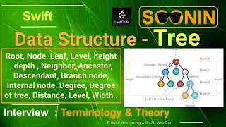Interview Swift Data Structure - Tree Terminology Theory