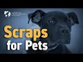 Former ASPCA CEO The ASPCA Has Lost Its Way and Animals Are Suffering as a Result