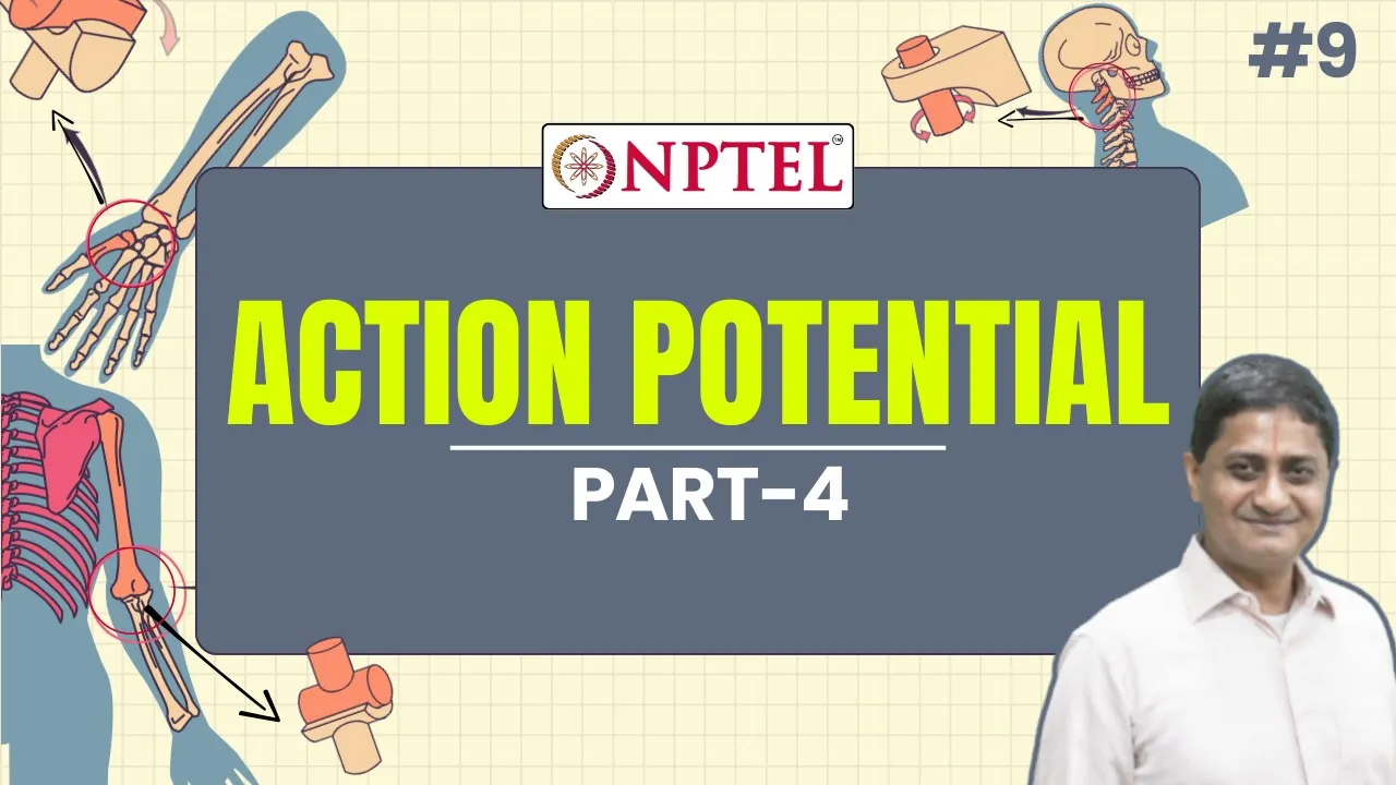 #9 Action Potential | Part 4 | Neuroscience of Human Movement