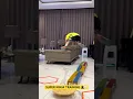 SUPER NINJA TRAINING AGILITY CIRCUIT LETS GO