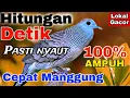 Download Lagu Perkutut Lokal alam gacor suara merdu untuk pancingan burung perkutut lokal