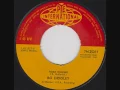 Bo Diddley - Roadrunner