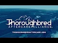 Gulfstream Park Handicapping Show August 17 2026