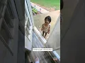 Pigpen Knocks on Family s Door