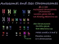Reading Karyotypes