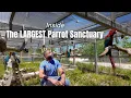Private Tour of the Largest Parrot Sanctuary in Colorado The Gabriel Foundation