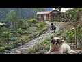 Lagu Stone Path to the House | Farm Garden Renovation \u0026 a New Companion