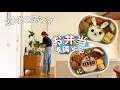 Lagu 【Morning Routine】30代2児ママ  遠足弁当を作る！準備万端💪／家族の、平和な休日🕊️／モーニングルーティン
