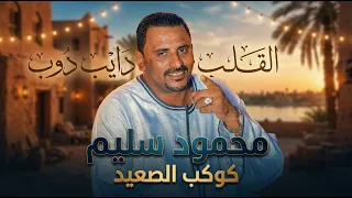 جديد       القلب دايب دوب   كوكب الصعيد محمود سليم            دندنها