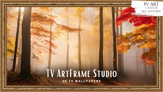 4K Frame TV Art Morning At the Forest | TV Background | Screensaver Wallpaper
