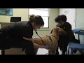 New vet clinic offers access to affordable care for pets in Southeast DC