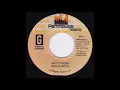 Buju Banton -  Batty Rider  (Vinyl Side B Instrumental) 1992