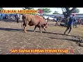 Download Lagu PILIHAN SAPI KURBAN FULL PILIHAN, SAMPAI MEMBLUDAK ‼️ PASAR Siyono harjo Gunungkidul