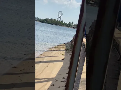 កំពត
