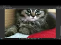 converting images to pdf using python