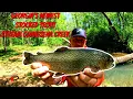 Georgia s Newest Stocked Trout Stream Connesena Creek