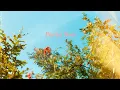Download Lagu A sunny morning of Film Photography with Portra 800