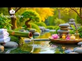 Beautiful Relaxation Music   Spa Piano with Water Sounds for Stress Relief \u0026 Peaceful Meditation