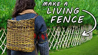 Is This The Most Useful Plant On EARTH 