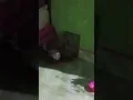 Download Lagu Woii lagi santai kawan 🤣