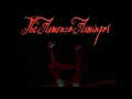 Download Lagu The Flamenco Flamingos - The Waltz Of The Flamingo (Official Music Video)
