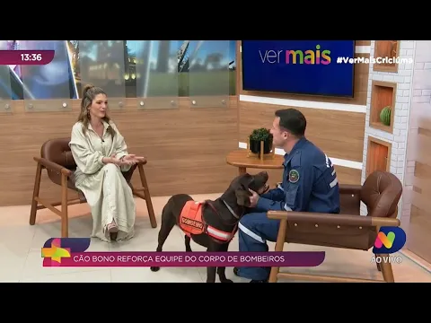 Fofura e competência: cão Bono reforça equipe do Corpo de Bombeiros na região Sul