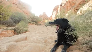 Can’t Keep Up With This Old Man – Baja or Bust 30