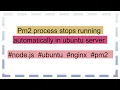 Pm2 process stops running automatically in ubuntu server