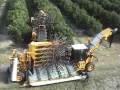 Oxbo 3220 Citrus Harvester