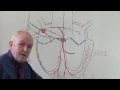 Download Lagu Cardiovascular System 3, Heart, electrical system