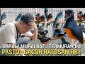 Download Lagu BEBAS PILIH ! MURAI SEHAT HARGA SEKARAT CUMA RATUSAN RIBU DI PASAR BURUNG PRAMUKA HARI INI 