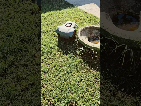 ¿Vale la pena un robot cortacésped? 🏡 Míralo en acción