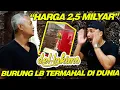 Download Lagu HARGA 2,5 MILYAR - Burung Lovebird Termahal Di Dunia KUSUMO Milik Sigit WMP | deHakims - Irfan Hakim