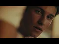 [ Shawn Mendes, Camila Cabello ] - Señorita (Vídeo Oficial) // Traducción al español